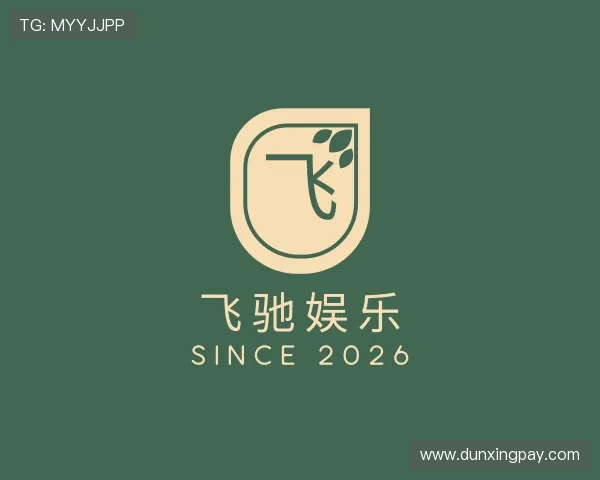 关于飞驰娱乐